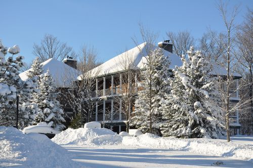 4 Season Fun At Legend Cottage Inn Bellaire Buitenkant foto